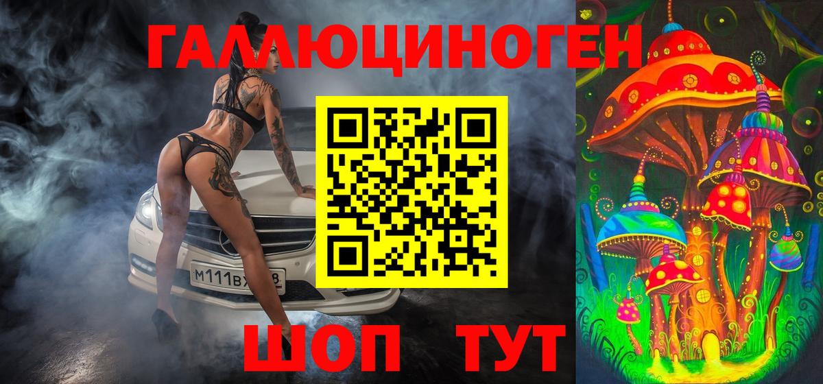 Братск  Галлюциногенные грибы Cubensis  Вход с VPN 