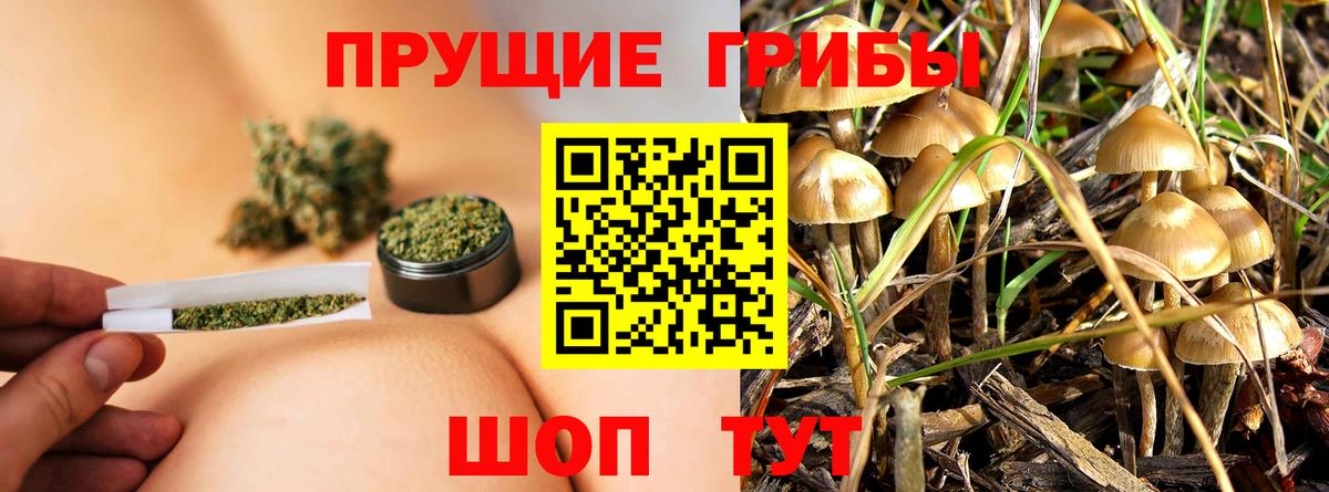 Галлюциногенные грибы Magic Shrooms Братск